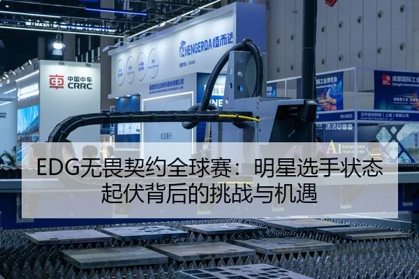 EDG无畏契约全球赛：明星选手状态起伏背后的挑战与机遇