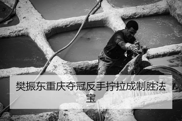 fan-zhen-dong-chong-qing-duo-guan-fan-shou-ning-la-cheng-zhi-sheng-fa-bao-3-625.jpg