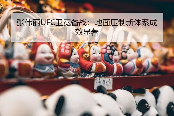 zhang-wei-li-wei-mian-bei-zhan-di-mian-ya-zhi-xin-ti-xi-cheng-xiao-xian-zhu-3-776.jpg