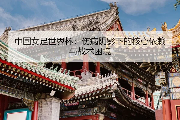 zhong-guo-nv-zu-shi-jie-bei-shang-bing-yin-ying-xia-de-he-xin-yi-lai-yu-zhan-shu-kun-jing-2-849.jpg