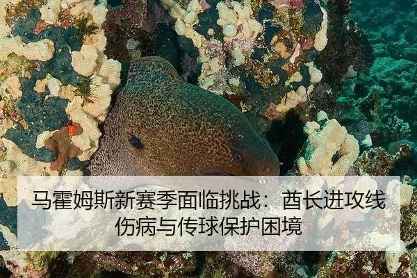 ma-huo-mu-si-xin-sai-ji-mian-lin-tiao-zhan-qiu-zhang-jin-gong-xian-shang-bing-yu-chuan-qiu-bao-hu-kun-jing-3-209.jpg