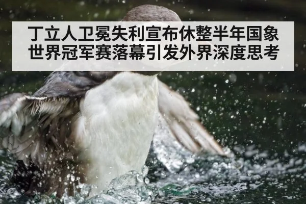 丁立人卫冕失利宣布休整半年国象世界冠军赛落幕引发外界深度思考