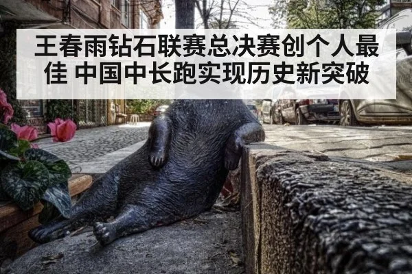 王春雨钻石联赛总决赛创个人最佳 中国中长跑实现历史新突破
